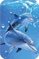 Autoduft Tiere zwei Delfine/Dauphins